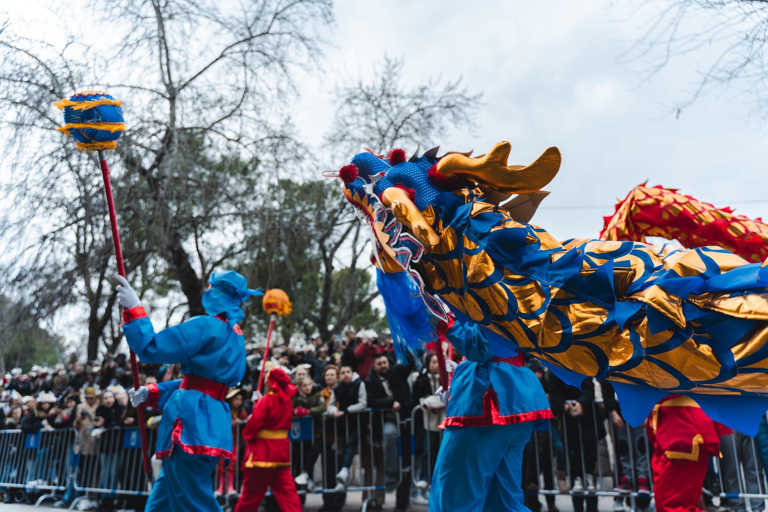 foto desfile callejero, personas con dragones chinos que mueven con sus brazos y grandes palos, colores rojos y azules